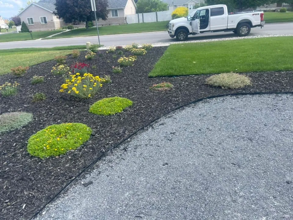 Landscaping Experts work photo 1